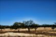 Cold WInter Landscape