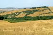 Famous winding road with cypresses in Tuscany
