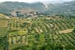 Panoramic view of Seggiano, in Tuscany