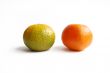 Two mandarine