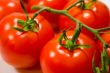 fresh tomatoes