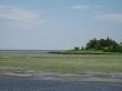 low tides ocean