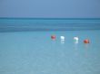 blue tropical ocean view