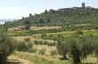 Trasimeno Lake, ancient town and olive trees