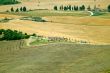 Landscape in Val d`Orcia (Tuscany)