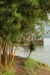 Ulun Danu Bedungul
