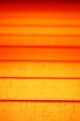 Orange Background Texture