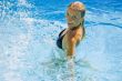 In pool