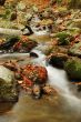 Autumn Creek