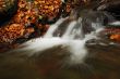 Mountain Creek