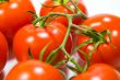 fresh tomatoes