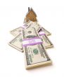 Home and Stacks of Money Isolated