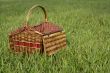 Picnic hamper basket in field