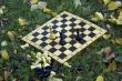 Chess board on the grass
