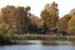 golden autumn in a rural place