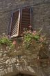 Corciano (Perugia) - Closed window, flowers, and terracotta stat