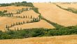 Famous winding road with cypresses in Tuscany
