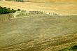 Landscape in Val d`Orcia (Tuscany)
