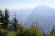 Beautiful bavarian idyll - plants and herbs