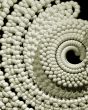 abstract snail