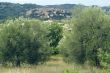 Panoramic view of Seggiano, in Tuscany