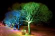 Christmas lights
