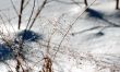 Ice-slick on the grass in sunny day