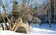 Sunny winter day