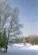 View of winter park