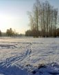 Winter landscape