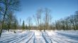  Winter landscape with shades