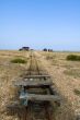 Rusty tracks