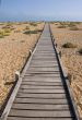 Boardwalk