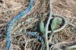 Fishing net