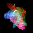 Fractal