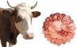 Cow and sausage