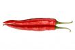 single red pepper