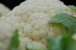 Fresh Cauliflower