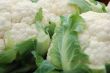 Fresh Cauliflower