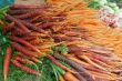 Mixed Carrot Bunch