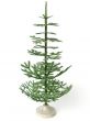 fir tree
