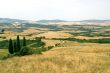 Landscape in Val d`Orcia (Tuscany)