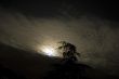 Moonlight in Tuscany