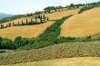 Famous winding road with cypresses in Tuscany