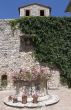 Corciano (Perugia) - Stone well with flowers