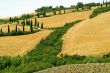 Famous winding road with cypresses in Tuscany