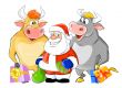 Santa Claus with the bulls