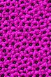 Pink flower pattern