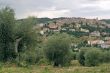 Panoramic view of Seggiano with old olive trees