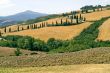 Famous winding road with cypresses in Tuscany